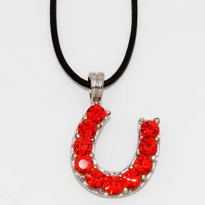iLLASPARKZ Horseshoe Pendant with Leather Cord Necklace
