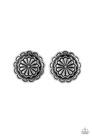 Paparazzi Durango Desert Silver Post Earrings
