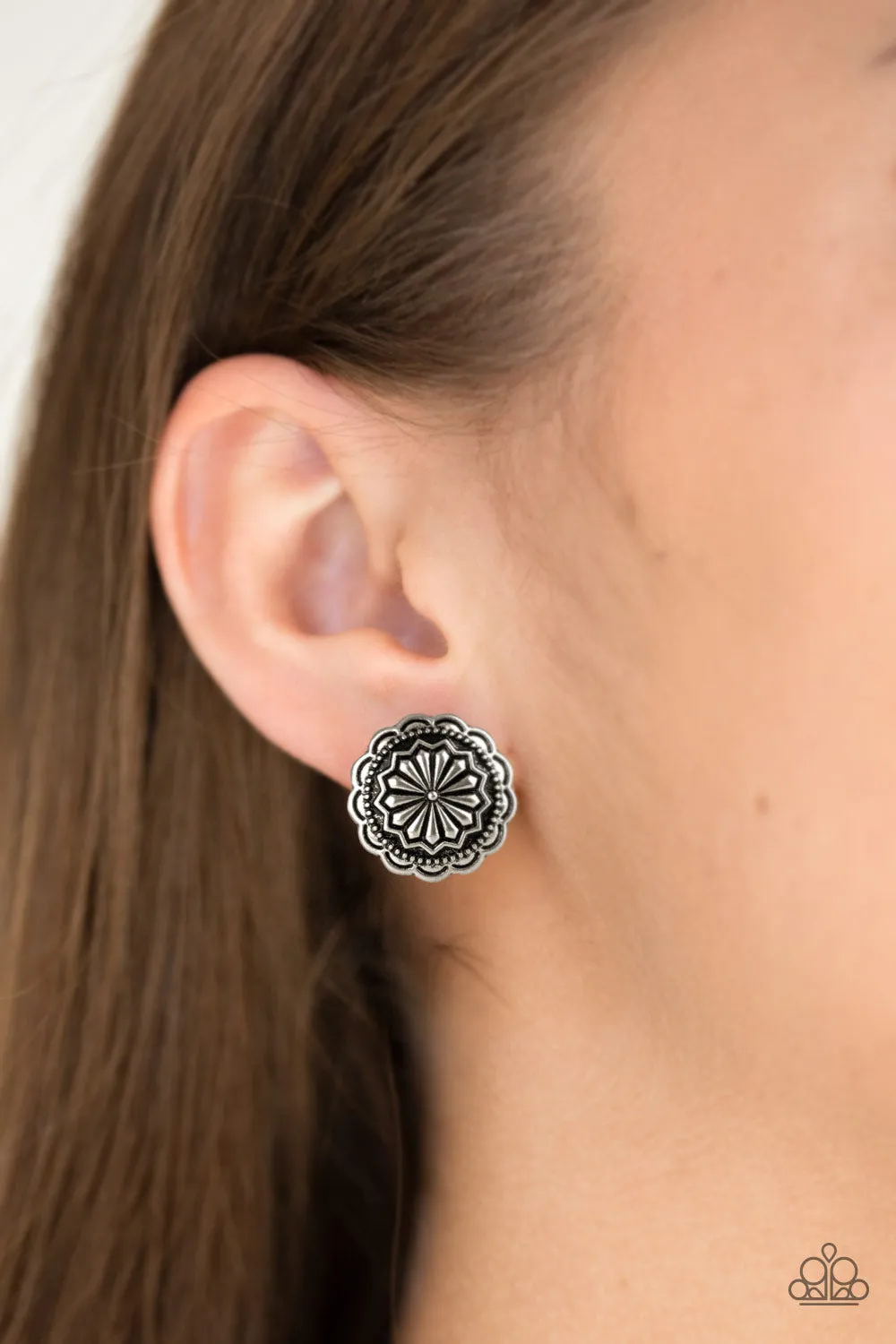 Paparazzi Durango Desert Silver Post Earrings